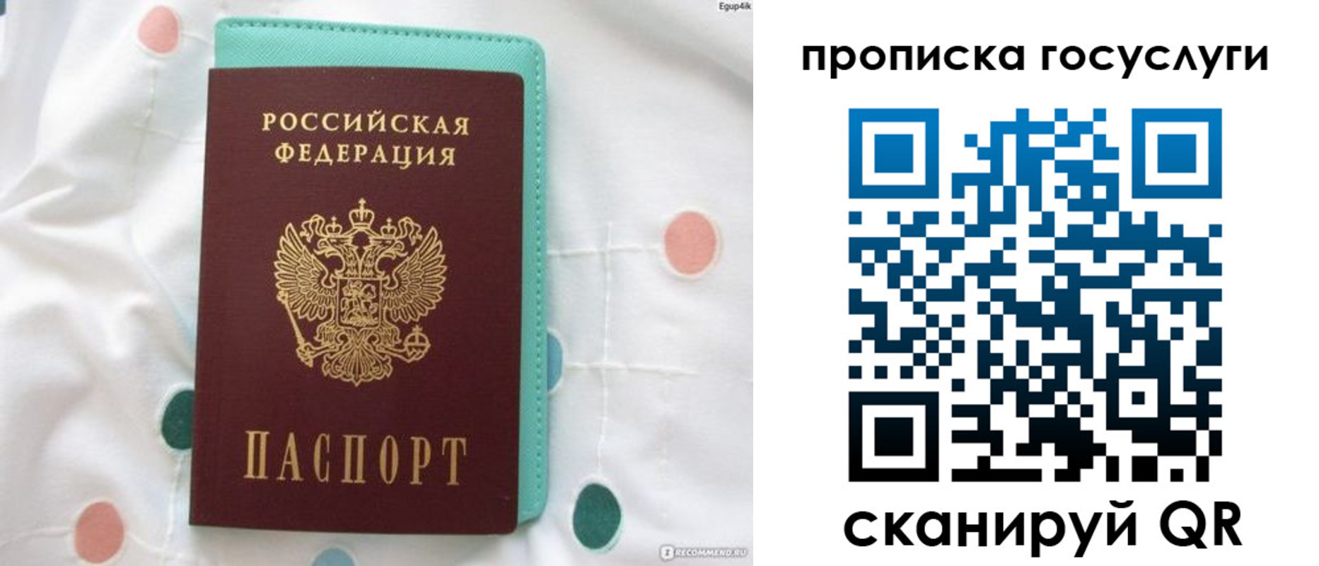 прописка поиск в Змеиногорске